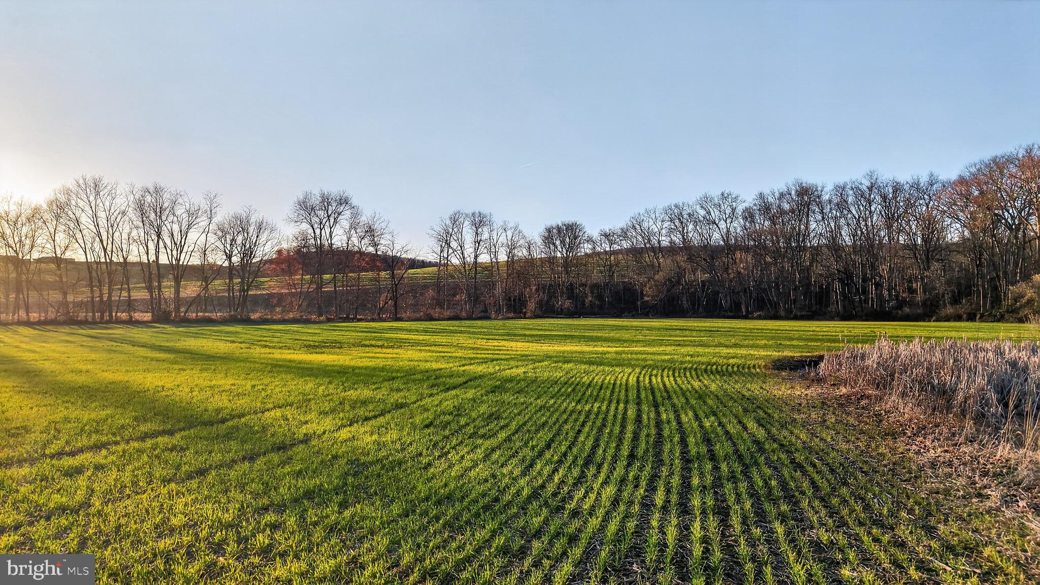 337 Swamp Road Halifax, PA 17032 - Photo 74 of 99