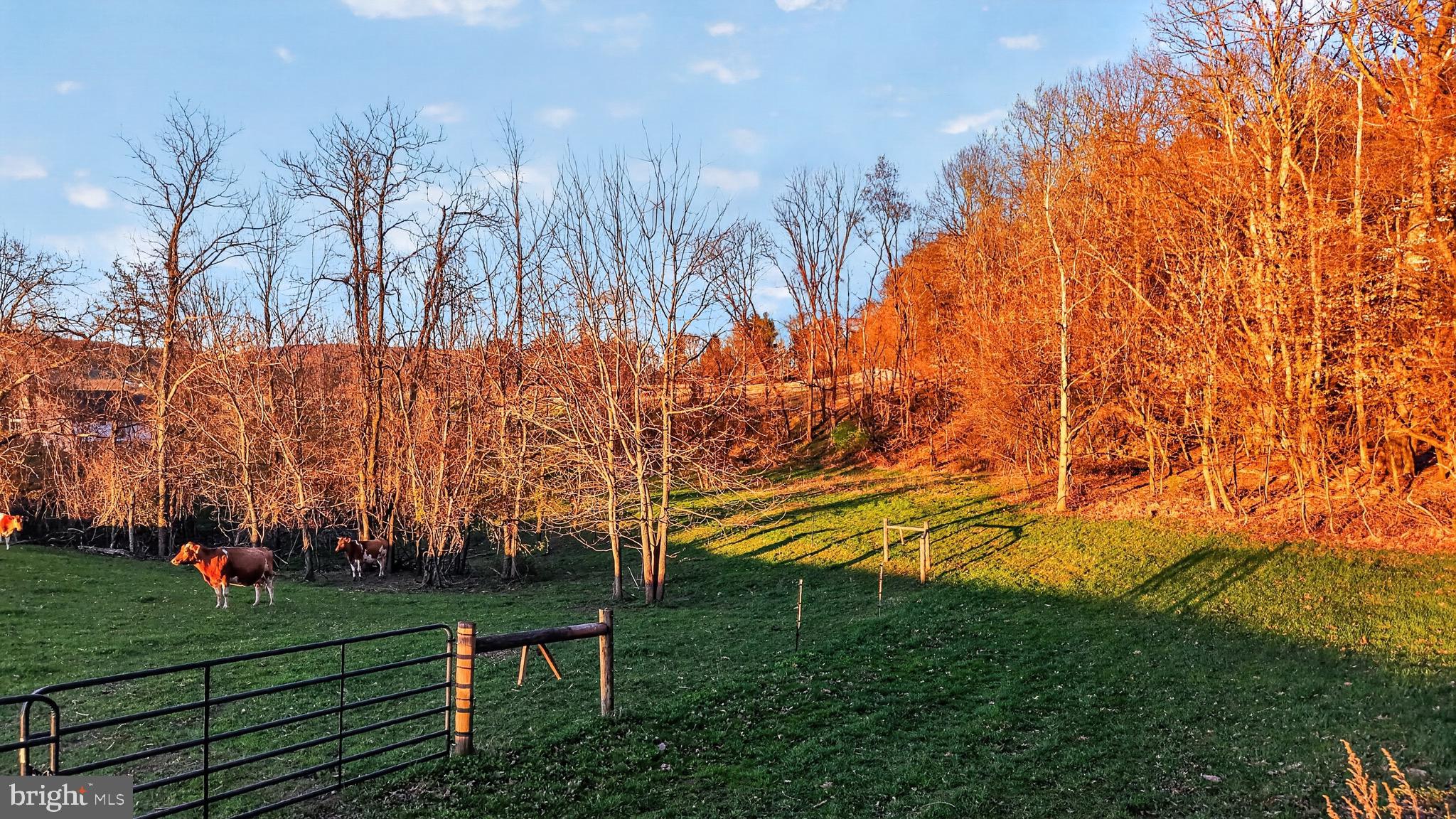 337 Swamp Road Halifax, PA 17032 - Photo 80 of 99