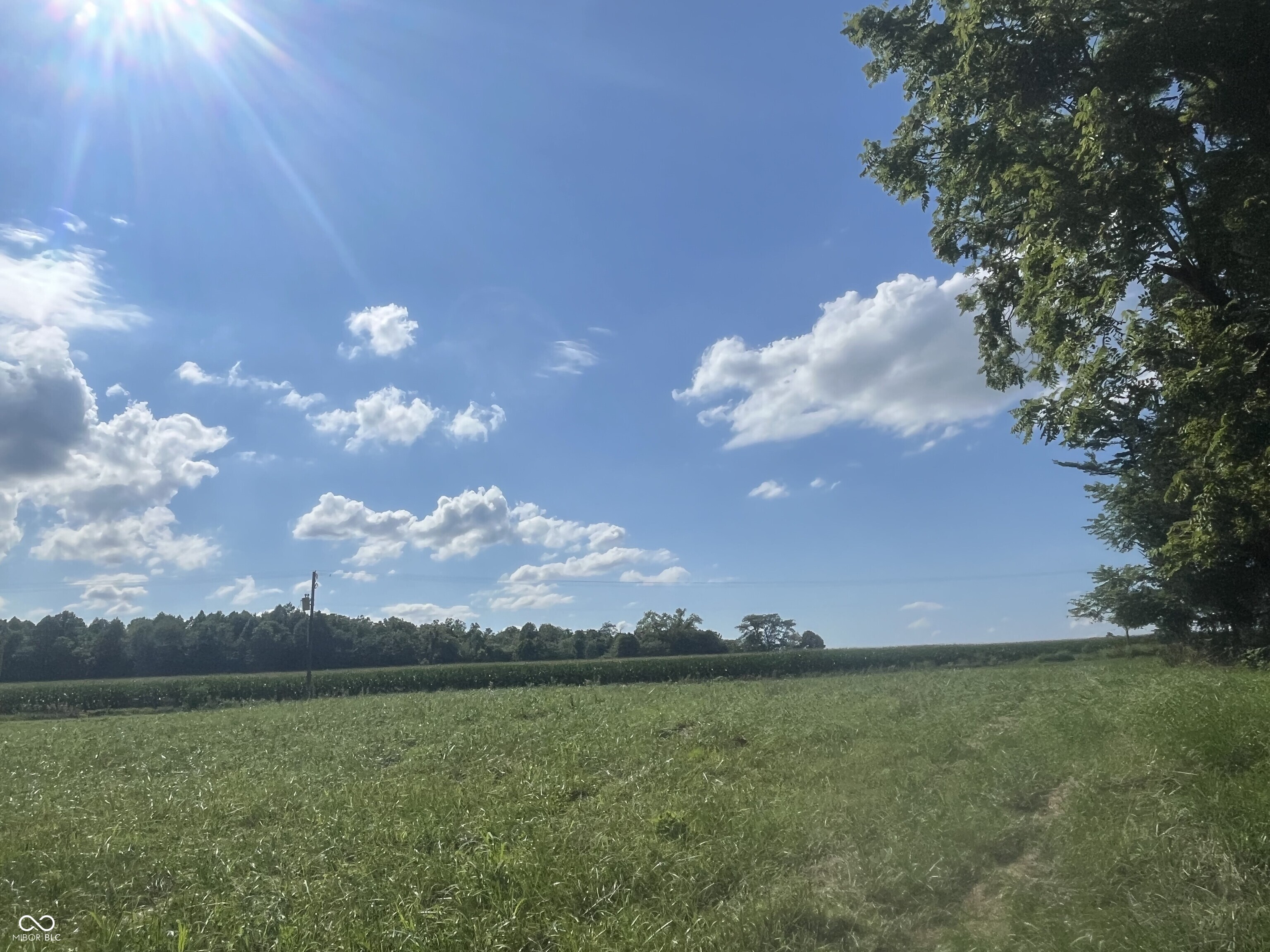 8342 South 650 West Milroy, IN 46156 - Photo 12 of 15