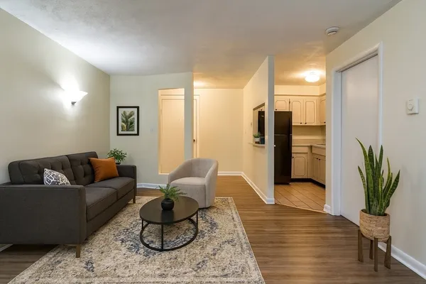 a living room with furniture rug and wooden floor