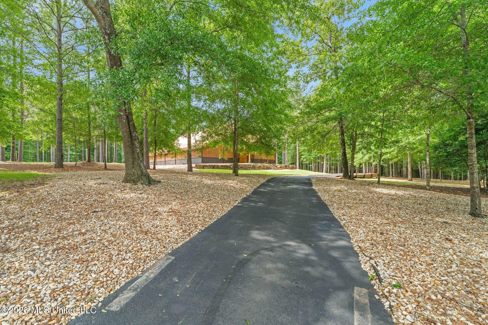 115 North Slade Road Sumrall, MS 39482 - Photo 51 of 86 115_North_Slade_Road-51