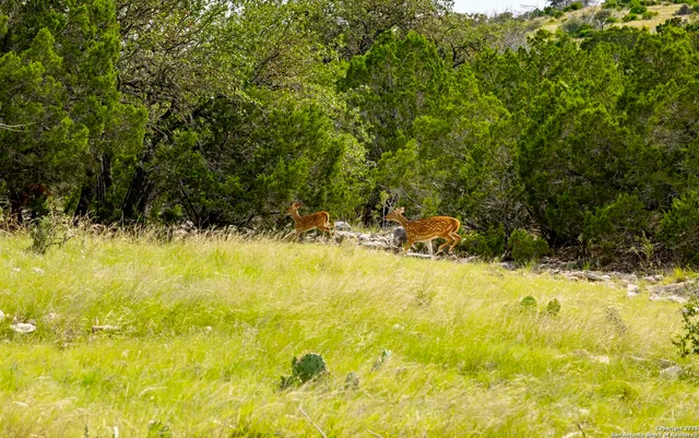 a view of swimming pool with a yard