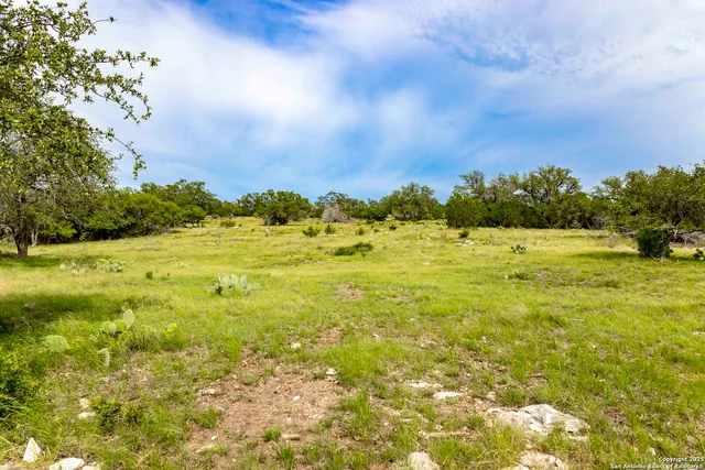 a view of a field with an ocean