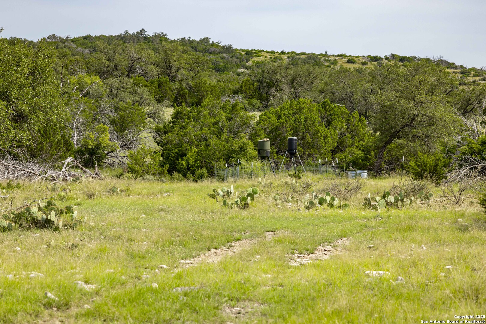 Lot 1 Hwy 377 Rocksprings, TX 78880 - Photo 14 of 35 a view of a yard