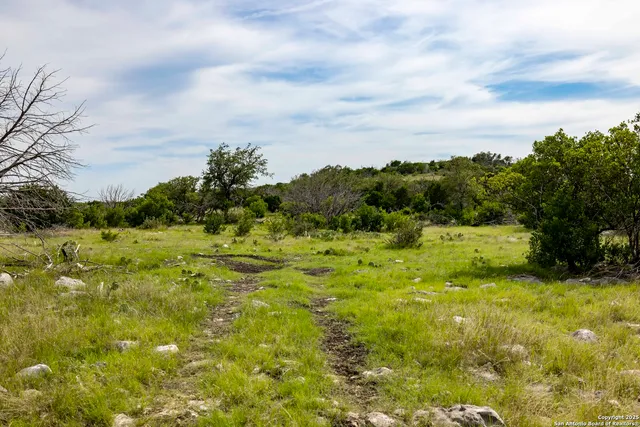 a view of a big yard with large trees