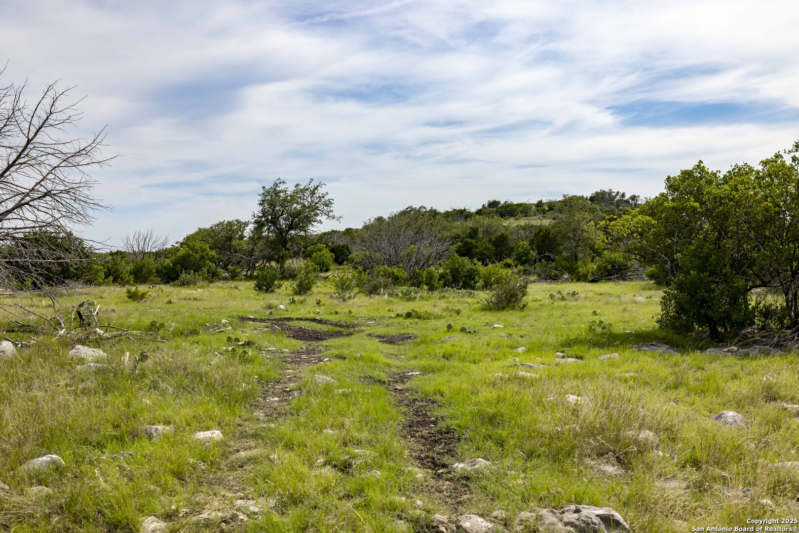 Lot 1 Hwy 377 Rocksprings, TX 78880 - Photo 15 of 35 a view of a big yard with large trees