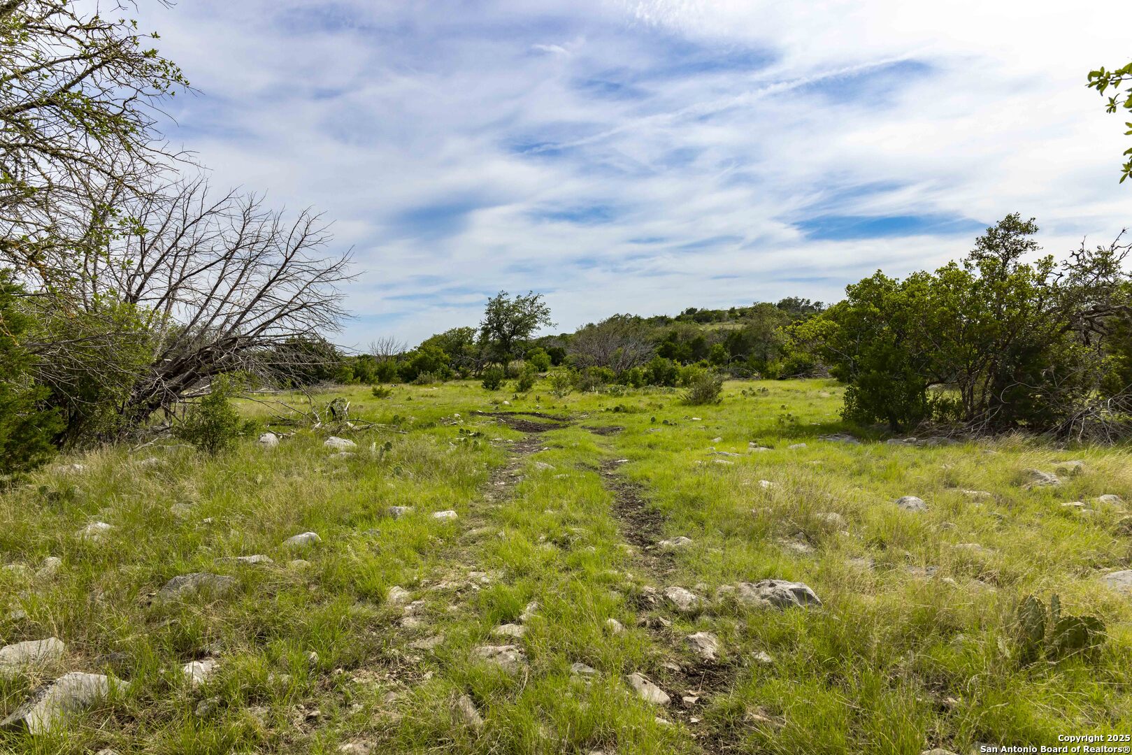 Lot 1 Hwy 377 Rocksprings, TX 78880 - Photo 16 of 35 a view of a large yard with plants and large trees