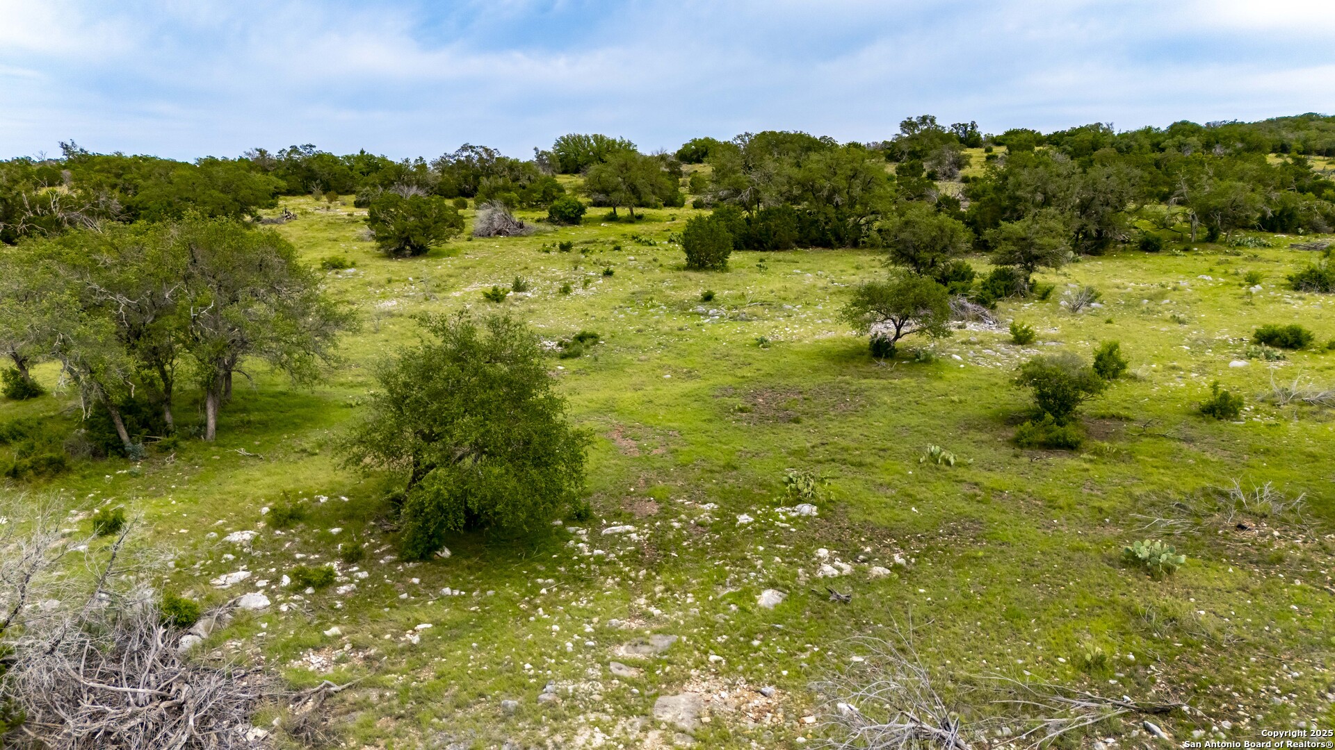 Lot 1 Hwy 377 Rocksprings, TX 78880 - Photo 20 of 35 a view of a garden with an ocean