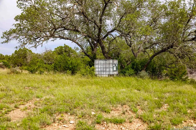 a view of a big yard with large trees