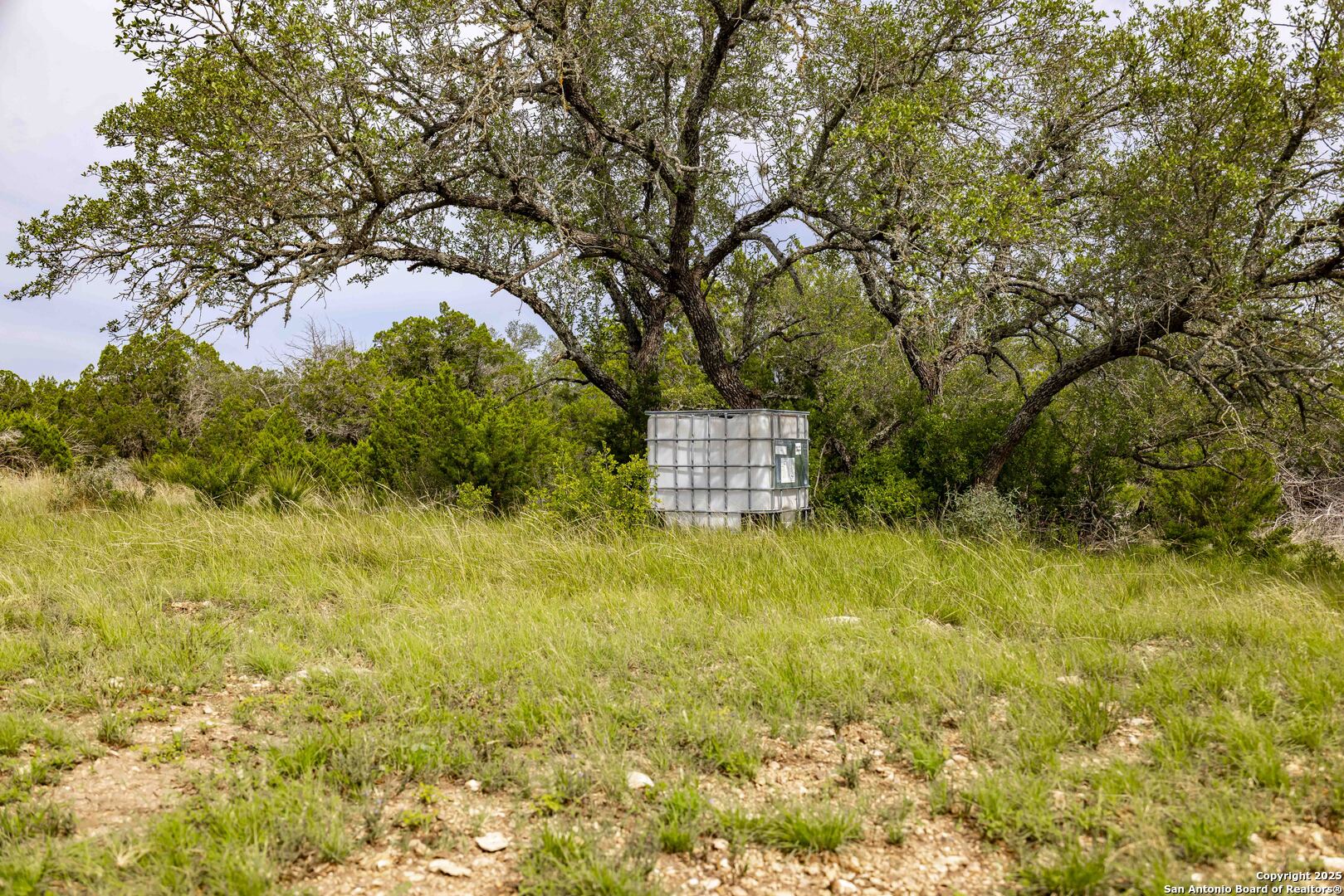 Lot 1 Hwy 377 Rocksprings, TX 78880 - Photo 2 of 35 a view of a big yard with large trees
