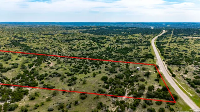 a view of a city and flowers