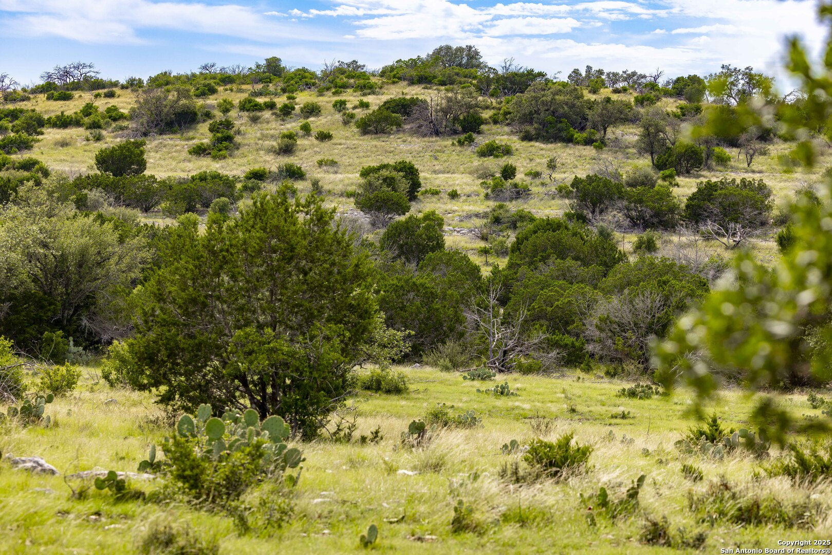 Lot 1 Hwy 377 Rocksprings, TX 78880 - Photo 5 of 35 a view of a yard