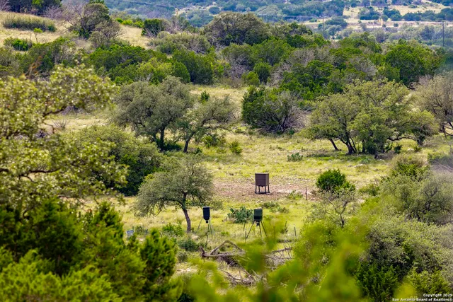 a view of outdoor space and trees