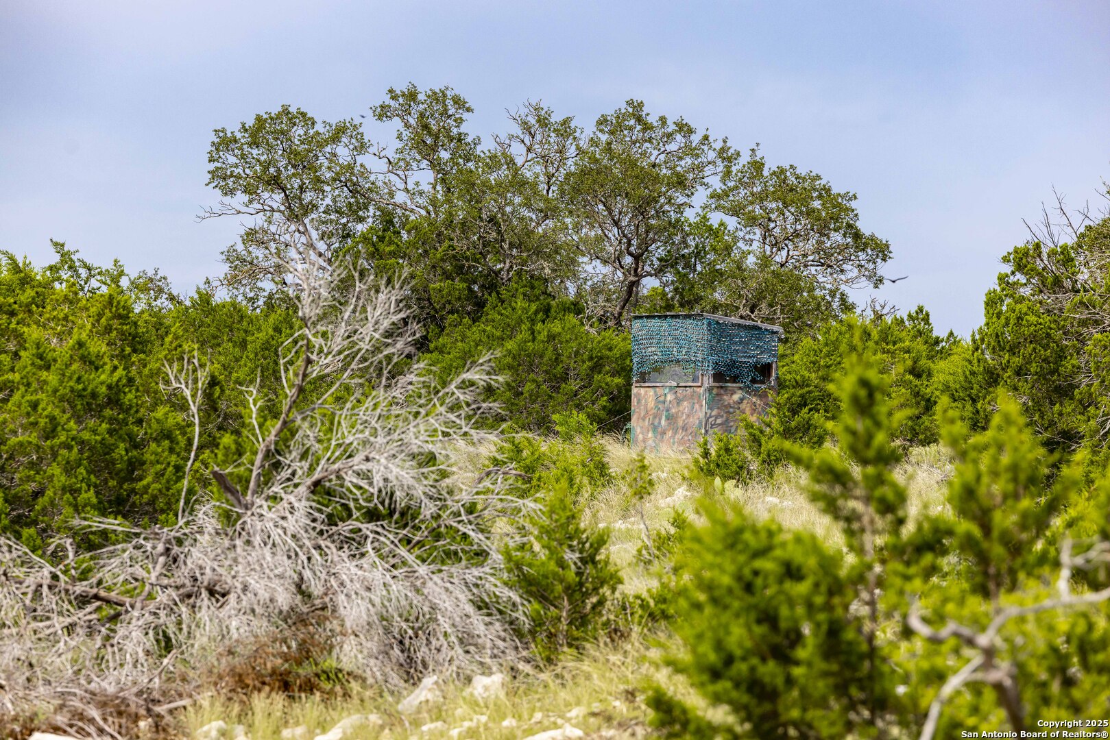 Lot 1 Hwy 377 Rocksprings, TX 78880 - Photo 9 of 35 a backyard of a house with lots of green space