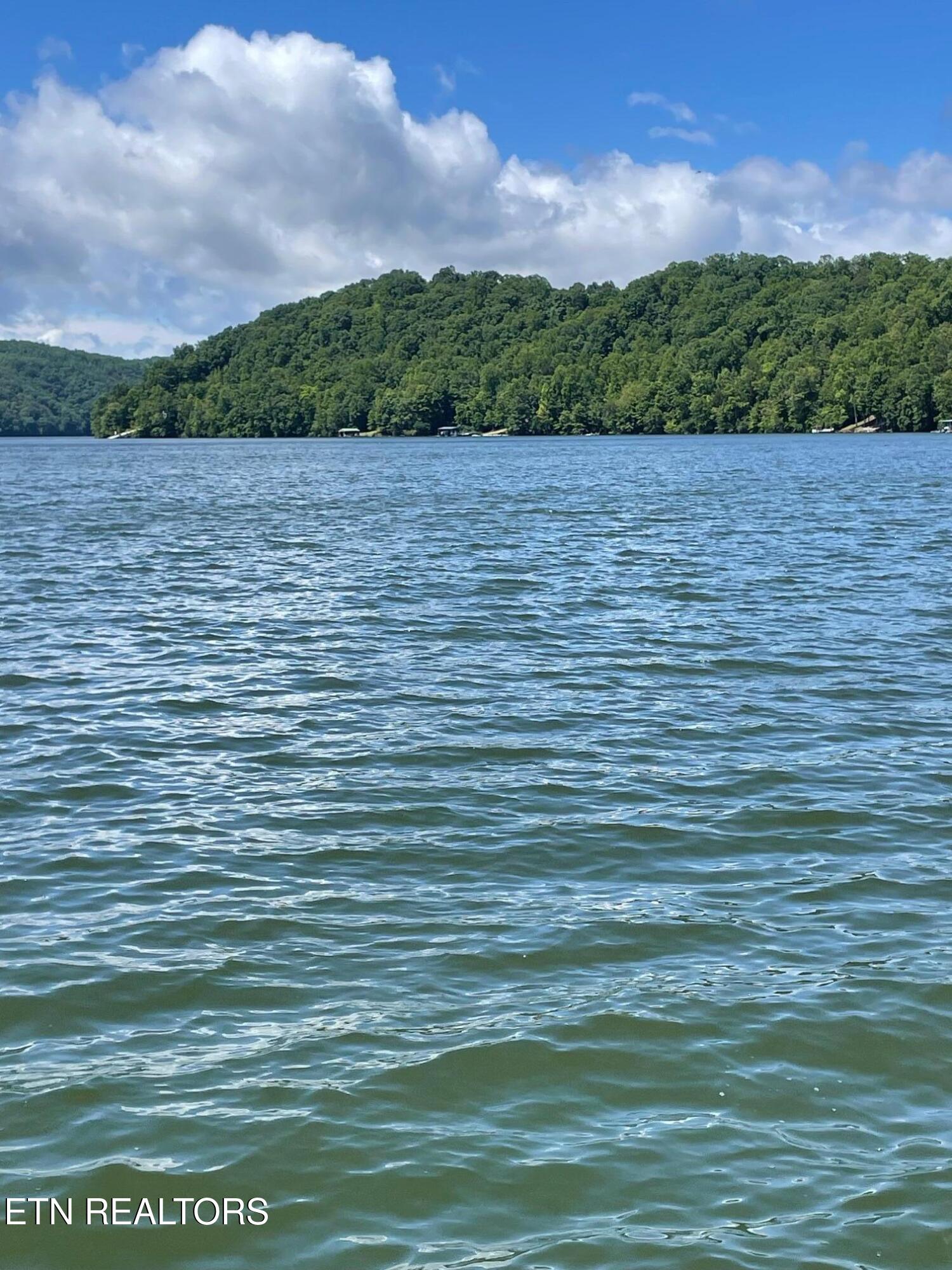 752 Tanglewood Road Sharps Chapel, TN 37866 - Photo 3 of 27 Main Channel