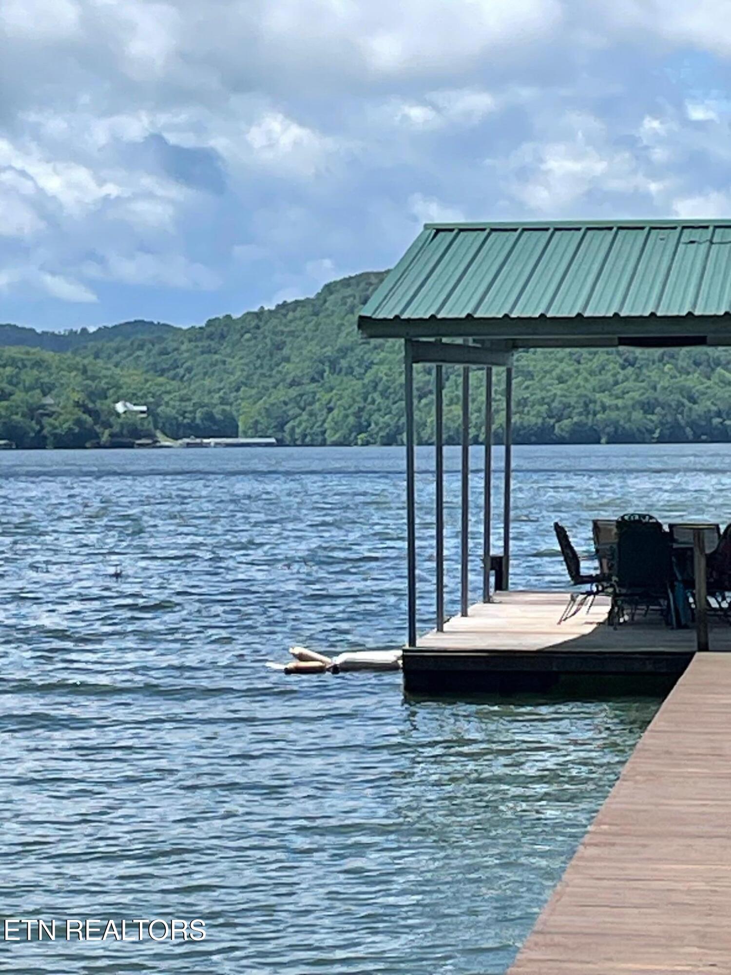 752 Tanglewood Road Sharps Chapel, TN 37866 - Photo 4 of 27 Boat Dock