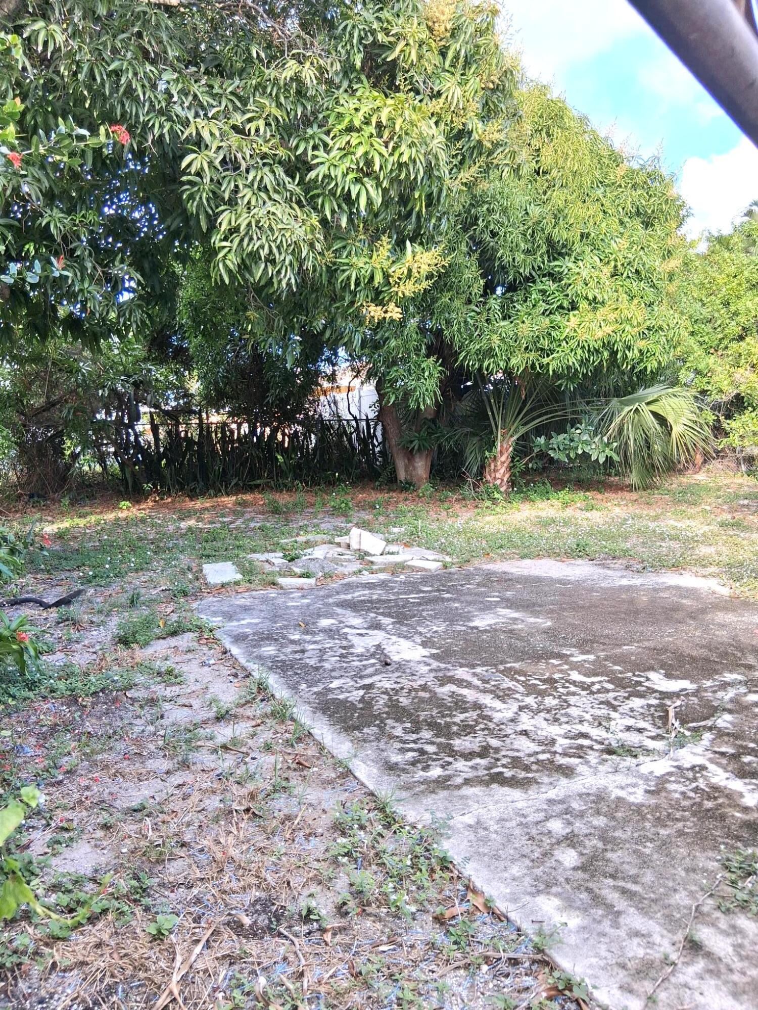 1240 West 33rd Street Riviera Beach, FL 33404 - Photo 6 of 6 1240 back yard w fruit trees