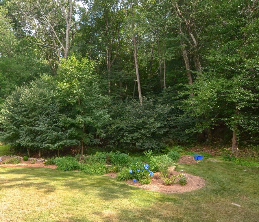 46 Cedar Hill Road Ashland, MA 01721 - Photo 17 of 17 Gallery Image 17