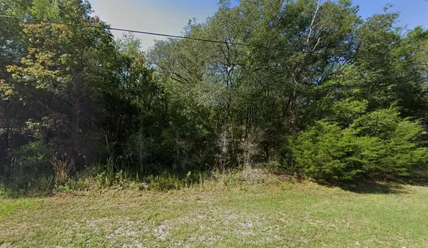 $42,999 | 658 East Lasalle Street, Hernando, FL 34442