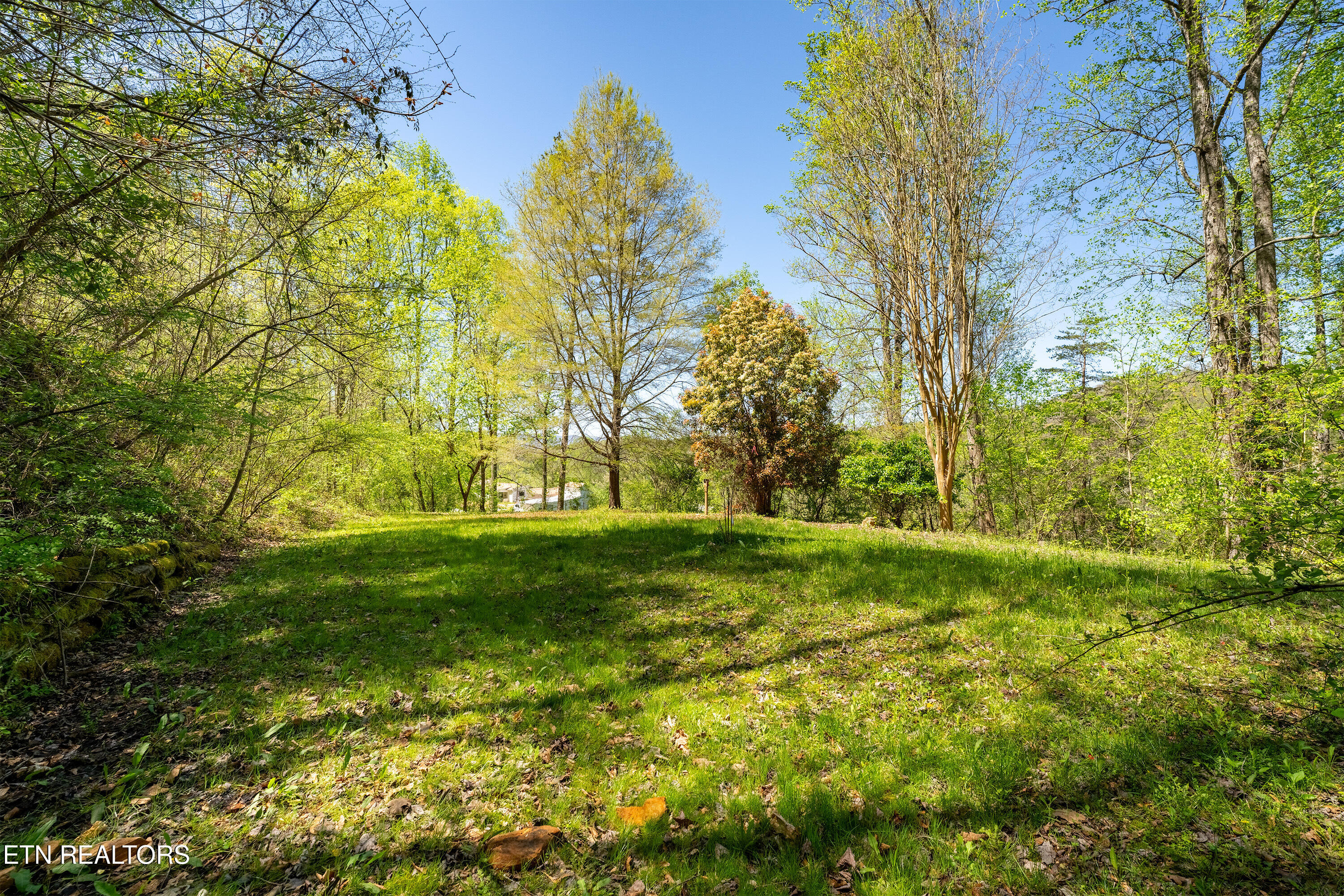 309 River Road Andersonville, TN 37705 - Photo 35 of 60 54