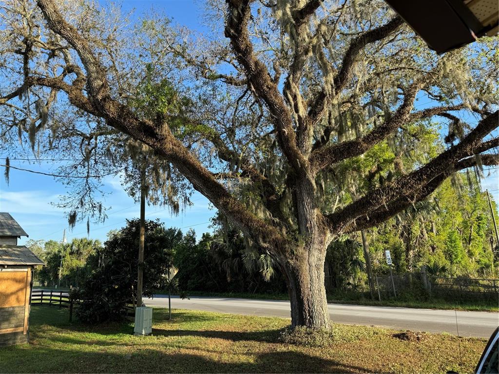 1673 Blackwelder Road De Leon Springs, FL 32130 - Photo 22 of 27