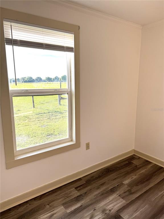 1673 Blackwelder Road De Leon Springs, FL 32130 - Photo 26 of 27