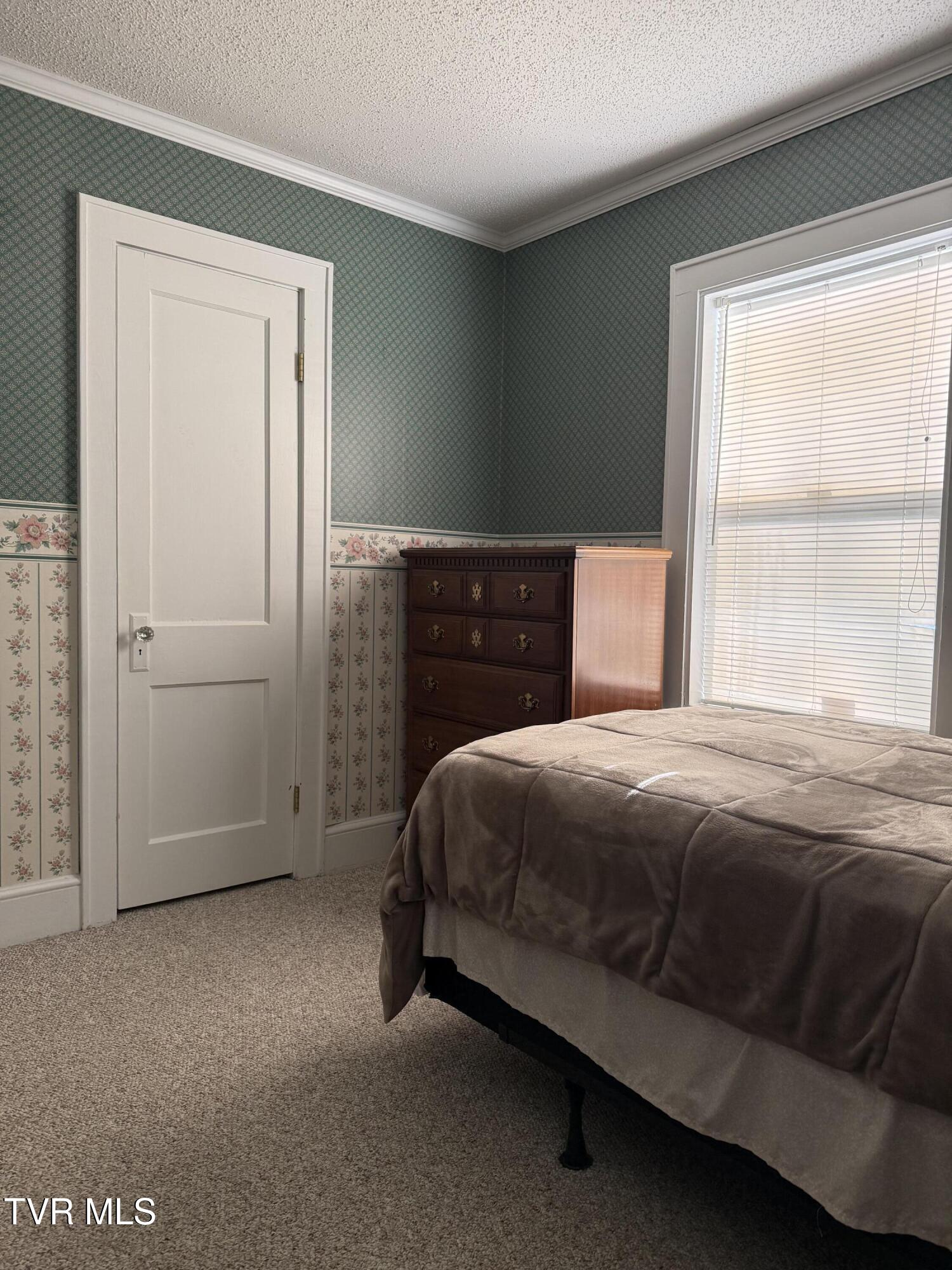 709 South 2nd Street Elizabethton, TN 37643 - Photo 8 of 37 IMG_6277