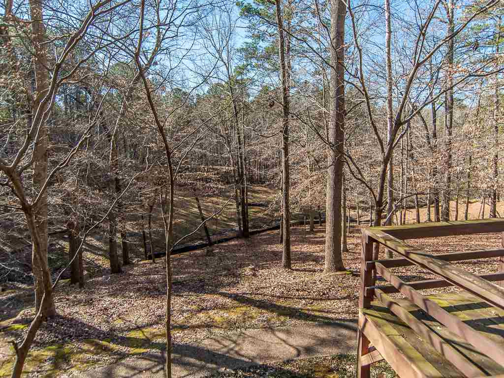 11009 Crest Mist Circle Raleigh, NC 27613 - Photo 23 of 24 View From Large Back Deck