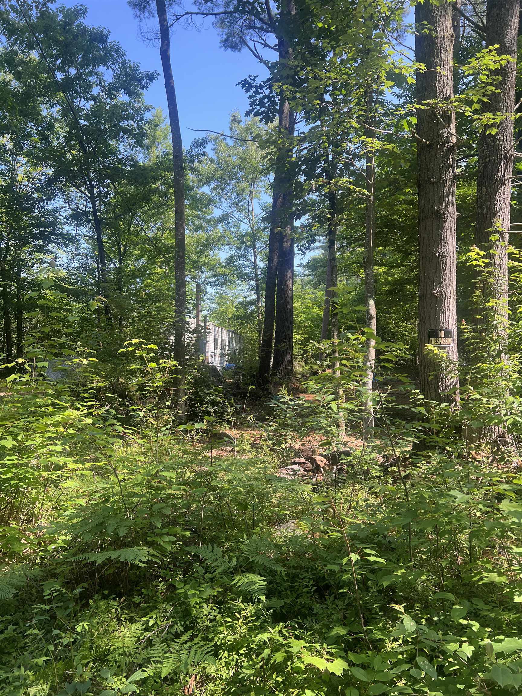 206 Bailey Road Effingham, NH 03882 - Photo 4 of 8