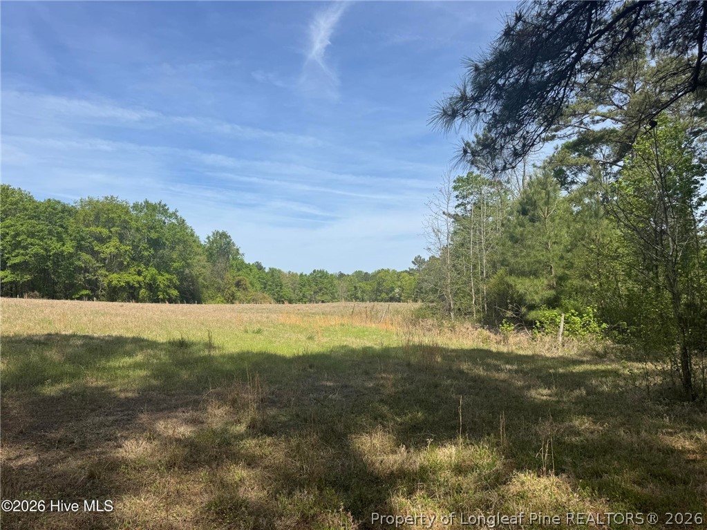 490 Springhill Church Road Hamlet, NC 28345 - Photo 33 of 49 Gallery Image 33