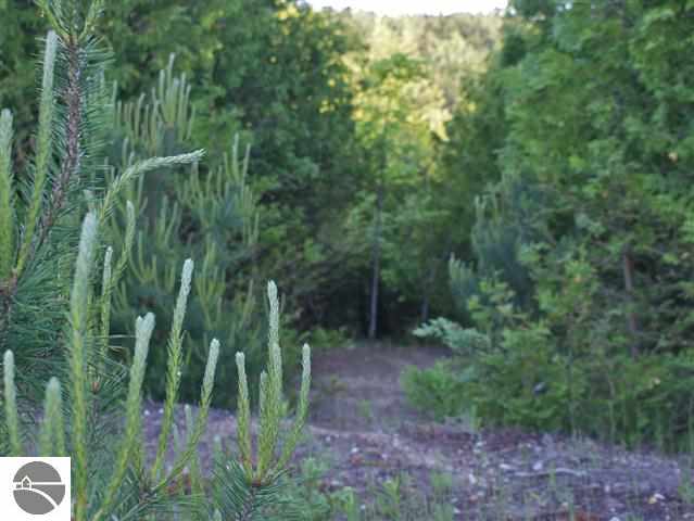 4950 South Schomberg Road Cedar, MI 49621 - Photo 11 of 35 1748123-10.JPG
