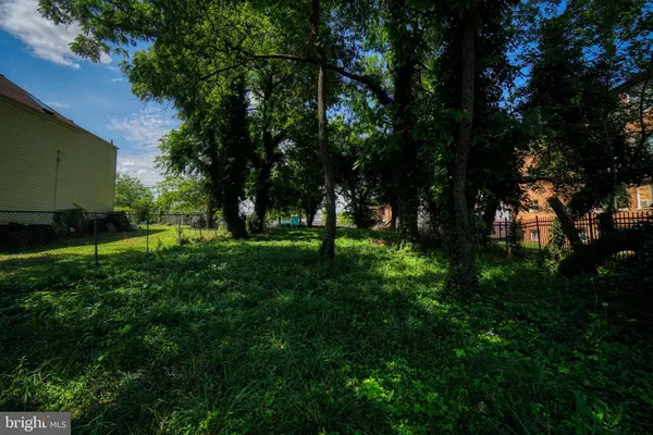 a view of park with trees