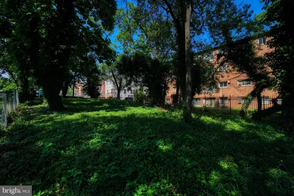 a view of green field