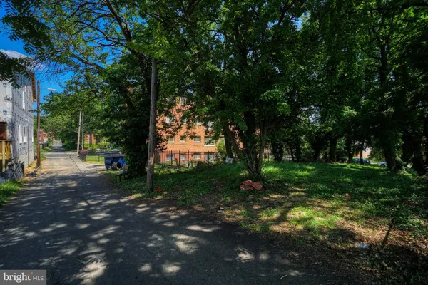 a view of a tree in the middle of a yard