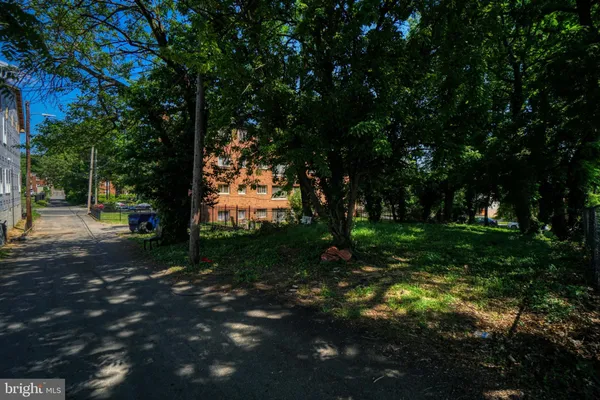 a view of a tree in the middle of a yard