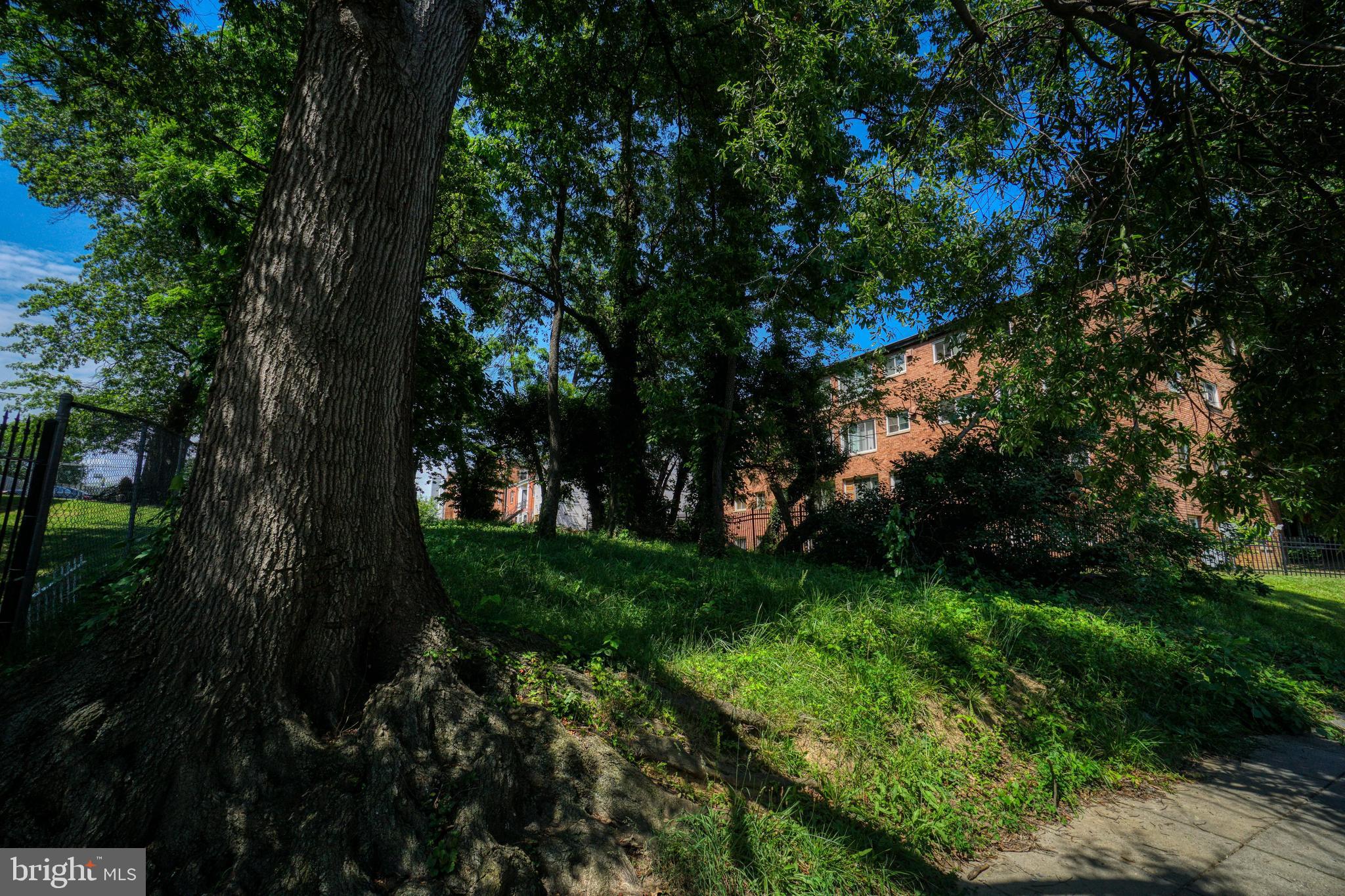 Clay Street Northeast Washington, DC 20019 - Photo 8 of 8 Front View