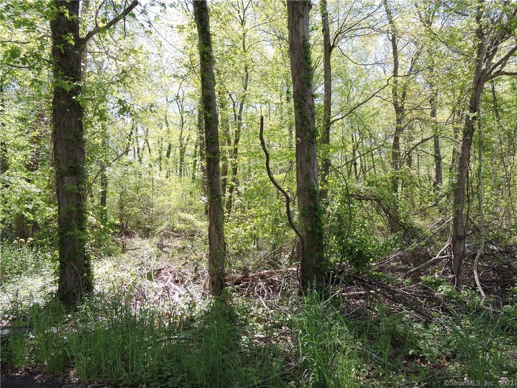 11 Ridge Trail East Lyme, CT 06357 - Photo 1 of 1 a view of forest