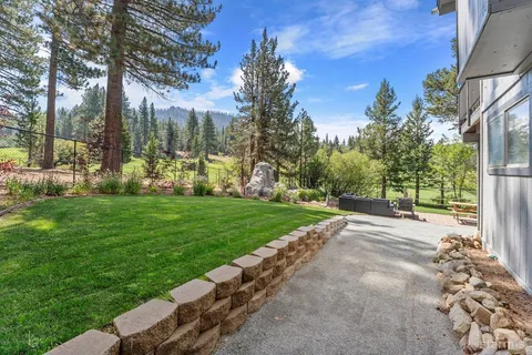 a view of a park with large trees
