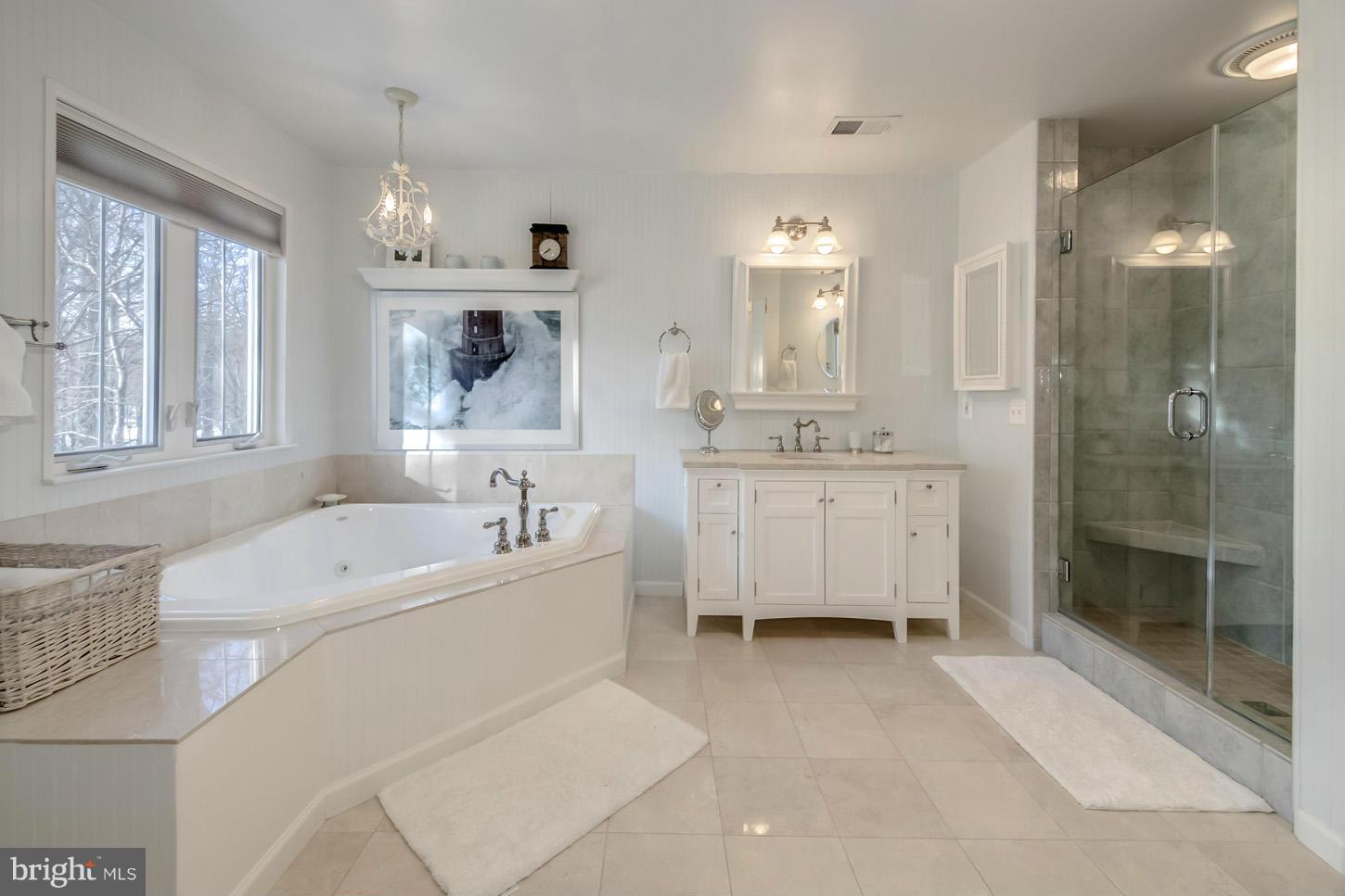 1684 Waterhaven Drive Reston, VA 20190 - Photo 19 of 30 Bath (Master)