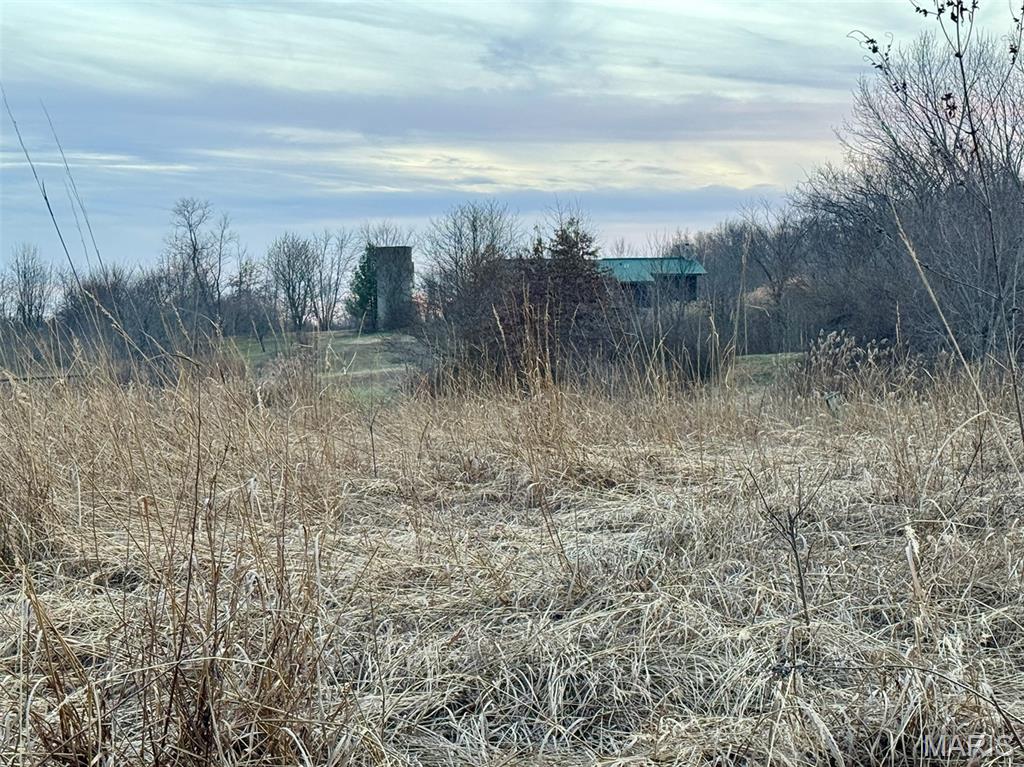 1350 Ayers Road Greenville, IL 62246 - Photo 28 of 50