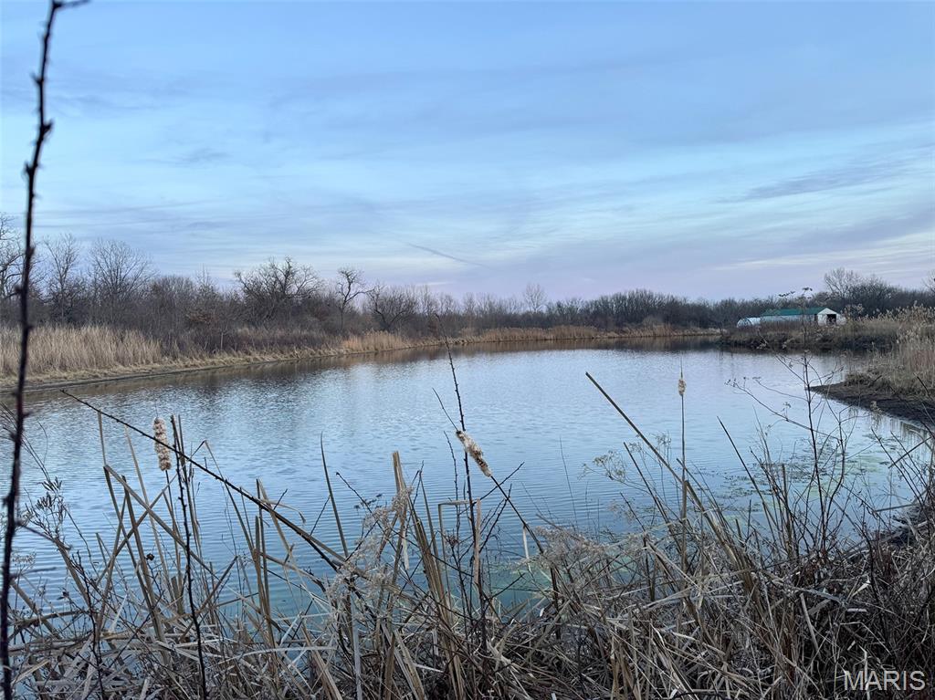 1350 Ayers Road Greenville, IL 62246 - Photo 30 of 50