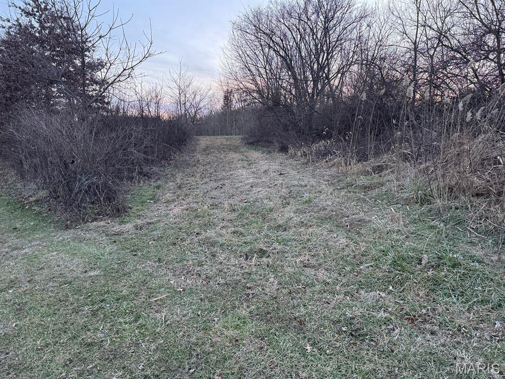 1350 Ayers Road Greenville, IL 62246 - Photo 31 of 50