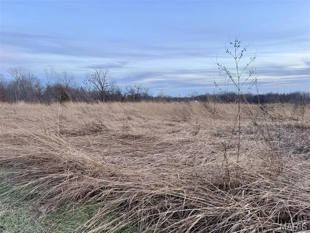 $1,100,000 | 1350 Ayers Road, Greenville, IL 62246