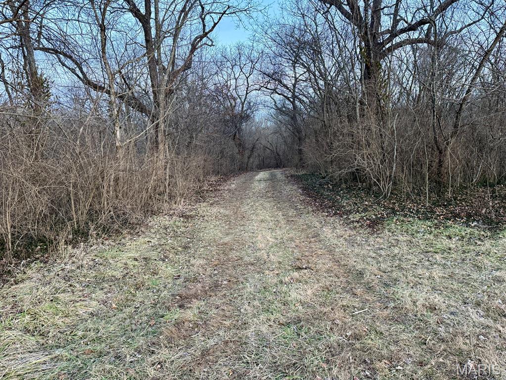 1350 Ayers Road Greenville, IL 62246 - Photo 36 of 50