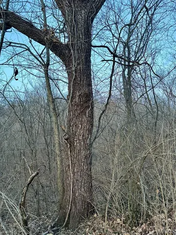 $1,100,000 | 1350 Ayers Road, Greenville, IL 62246