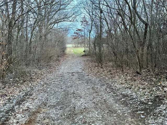 $1,100,000 | 1350 Ayers Road, Greenville, IL 62246