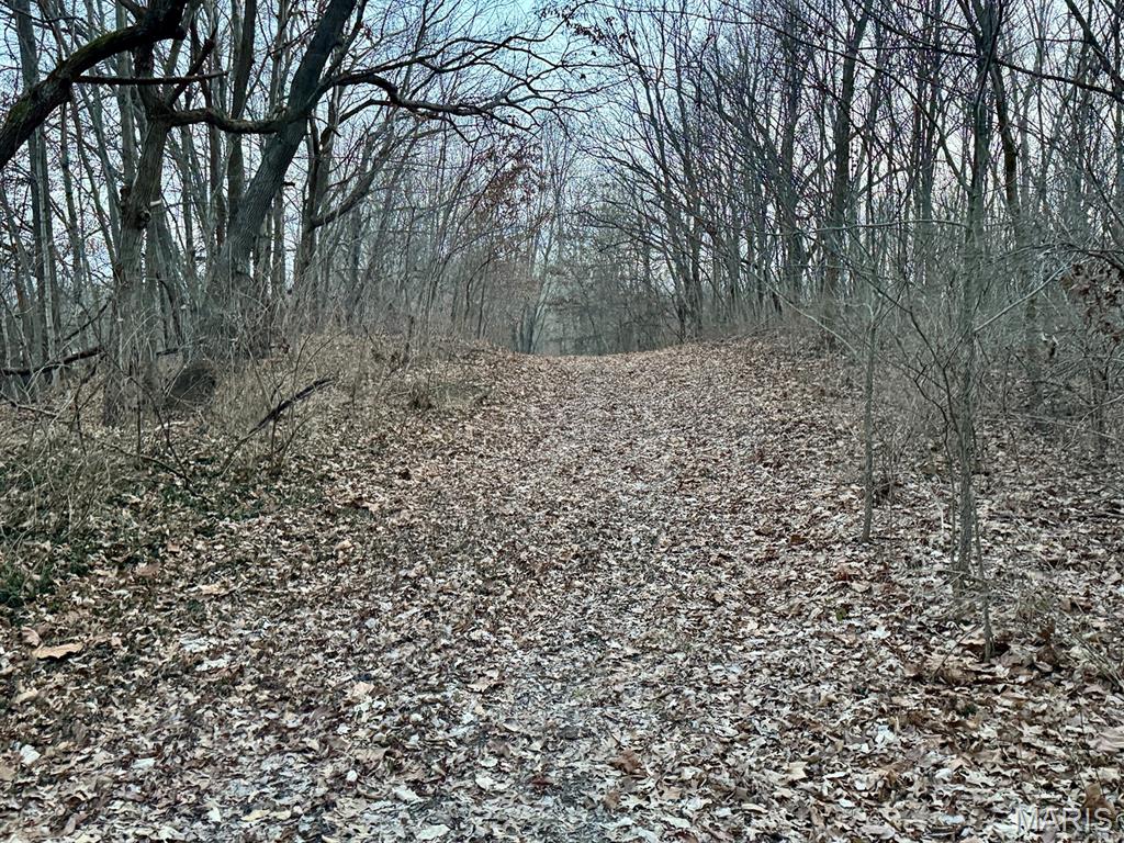 1350 Ayers Road Greenville, IL 62246 - Photo 39 of 50