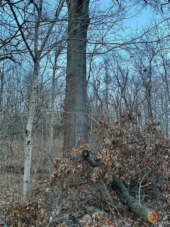 1350 Ayers Road Greenville, IL 62246 - Photo 40 of 50