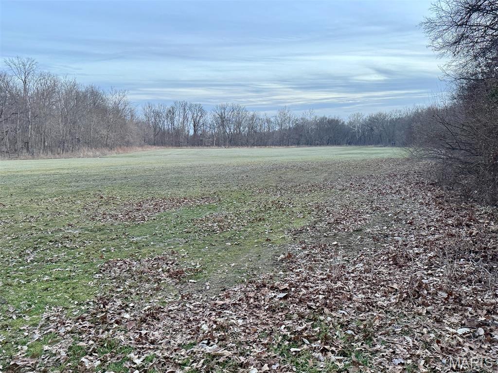 1350 Ayers Road Greenville, IL 62246 - Photo 41 of 50