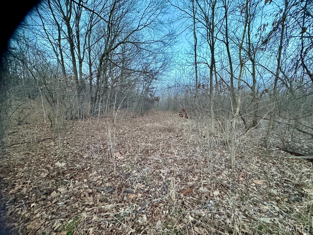 1350 Ayers Road Greenville, IL 62246 - Photo 42 of 50